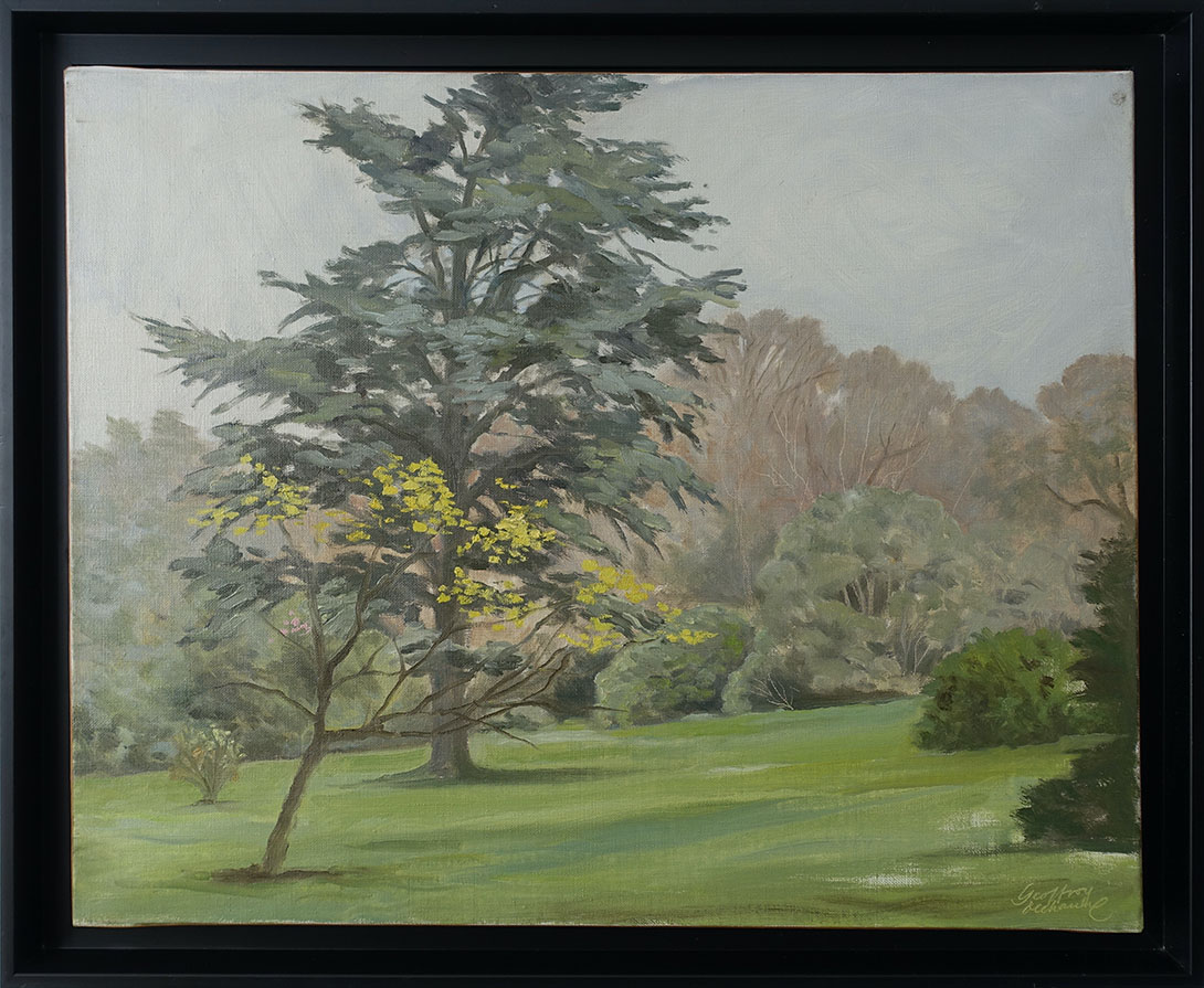 Le grand cèdre, Denis Geoffroy-Dechaume achat art moderne tableau décoration