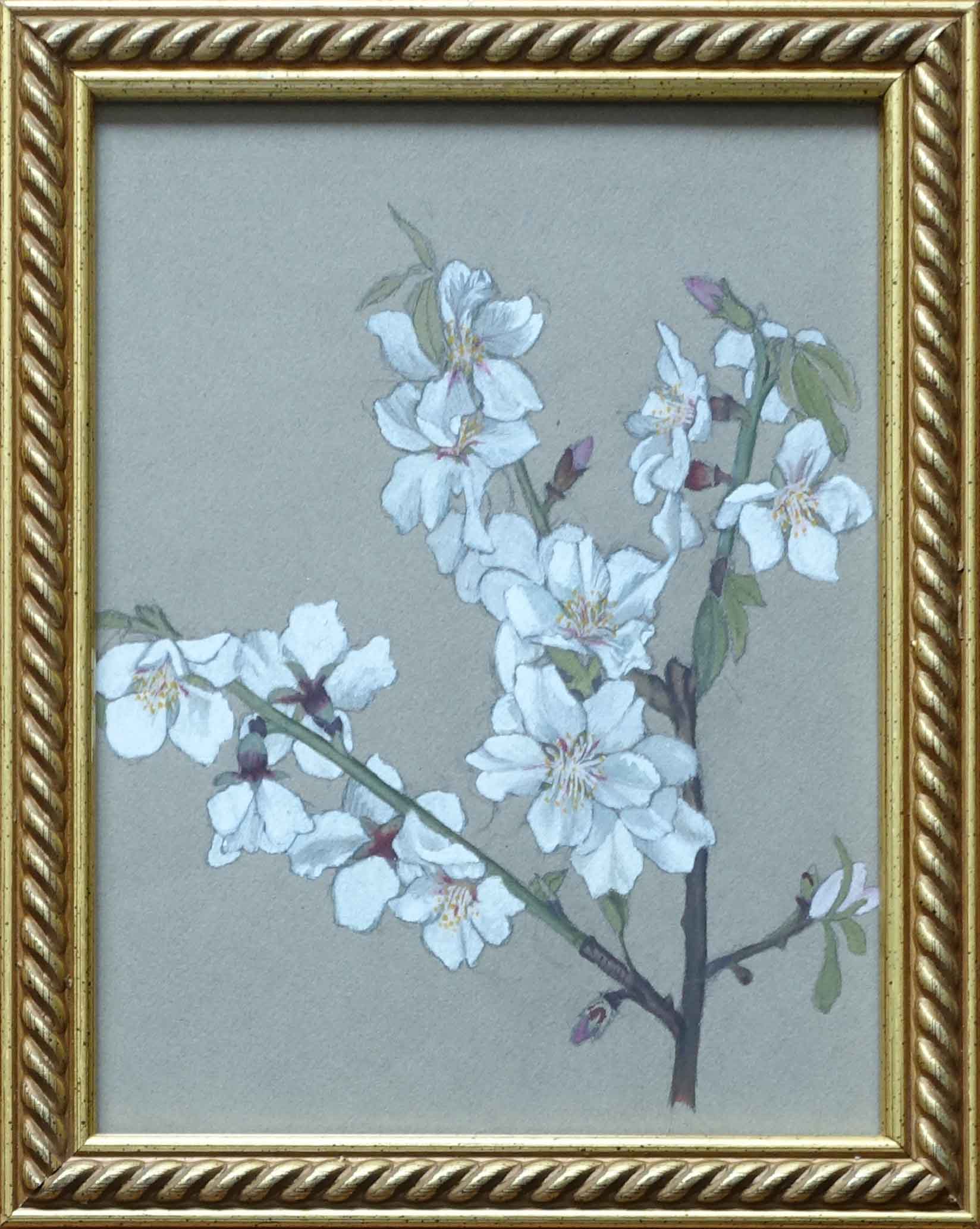Fleurs de pommier .  Gouache de Juliette Fornier-Colletin. Art déco Achat art décoration .