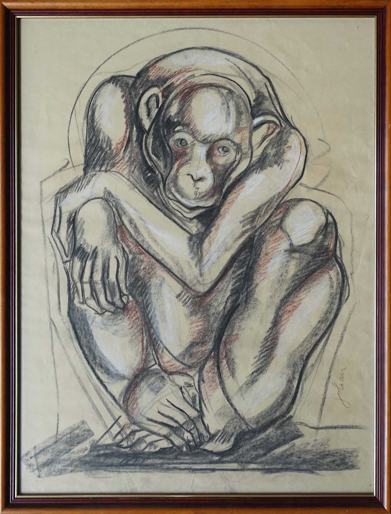 Etiennette Johan. Chimpanzé. Dessin aux trois crayons,achat art, art déco