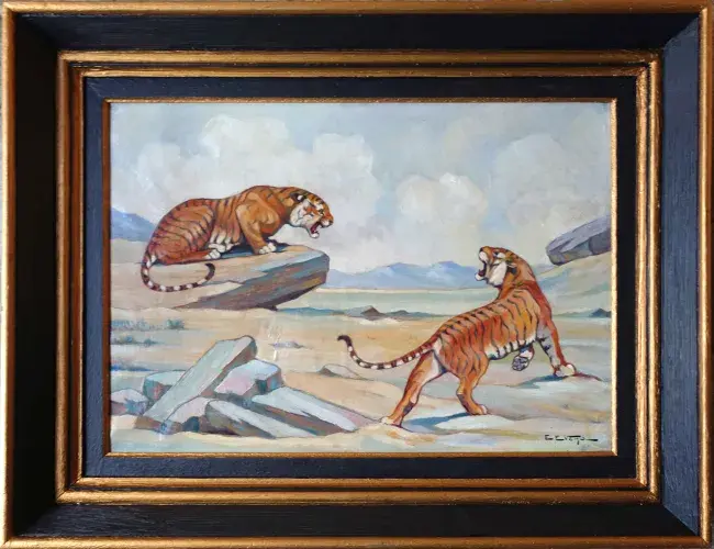 Tigres. Eveno. 