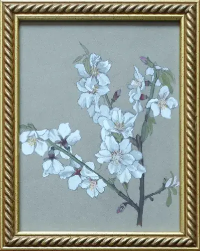Fleurs de pommier .  Gouache de Juliette Fornier-Colletin. Art déco Achat art décoration .