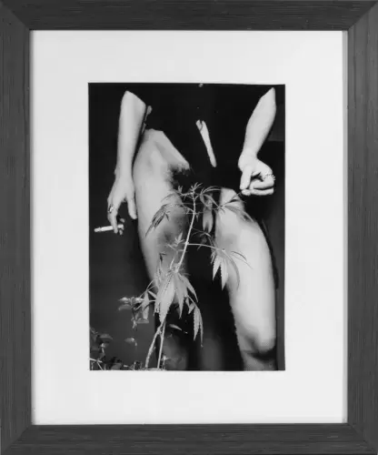 Photographie-IBANEZ Alberto-Hierba, sexo y angustia (Femme à la marijuana) achat