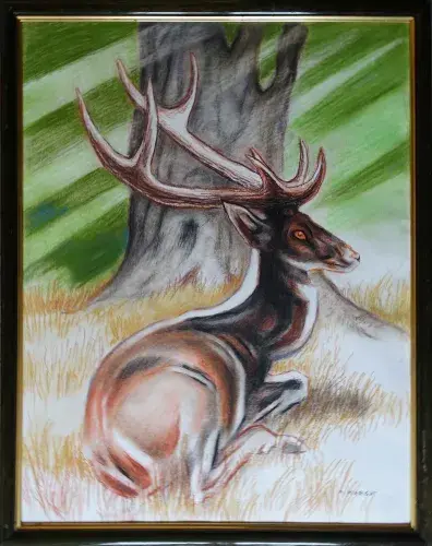 achat tableau peinture décoration cerf couche andré margat
