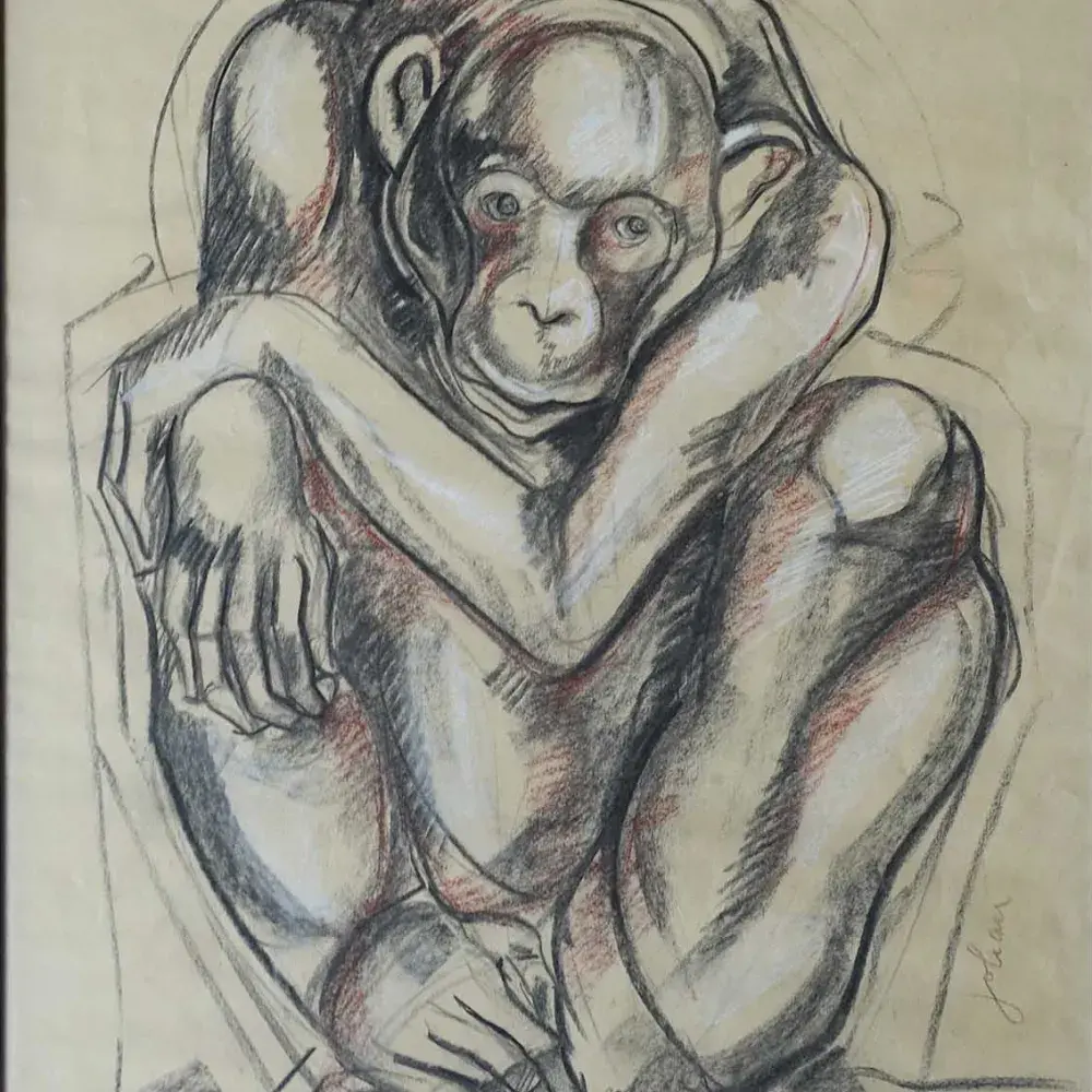 Etiennette Johan. Chimpanzé.