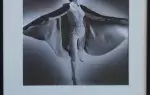 Robert-Jean Chapuis. La Cape Chauve-Souris. Photographie d'art.achat décoration