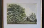 Aquarelle-Ecole française du XIXème siècle-Chênes dans un parc à l’anglaise