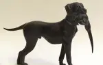 Achat sculpture régule Chien au faisan XX animalière