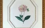 achat tableau peinture décoration dahlia aquarelle botanique 
