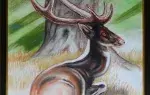 achat tableau peinture décoration cerf couche andré margat