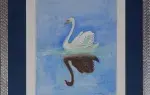 achat tableau cygne blanc cygne noir Aquarelle sur traits de crayon