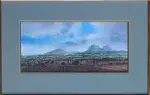 Vignobles du Plan de la Tour, aquarelle de Michel Ciry achat tableau décoration