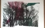 achat tableau décoration rose vert et frondaisons de dick higgins