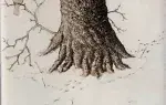 T. Ogaki, Au pied de l'arbre. Gravure. Achat gravue, achat aquateinte, achat art japonais, achat graveur japonais
